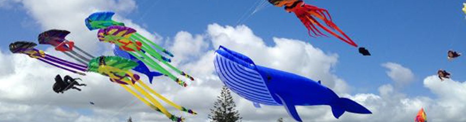 Kites flying at the Otaki Kite Festival