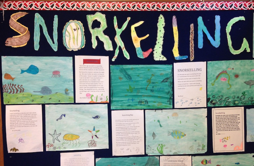The students recorded their experiences of snorkelling in words and pictures on the ‘snorkelling board’.